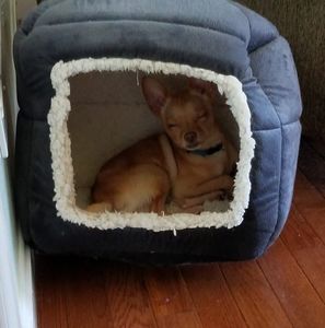 Meet your Posher, Joyce